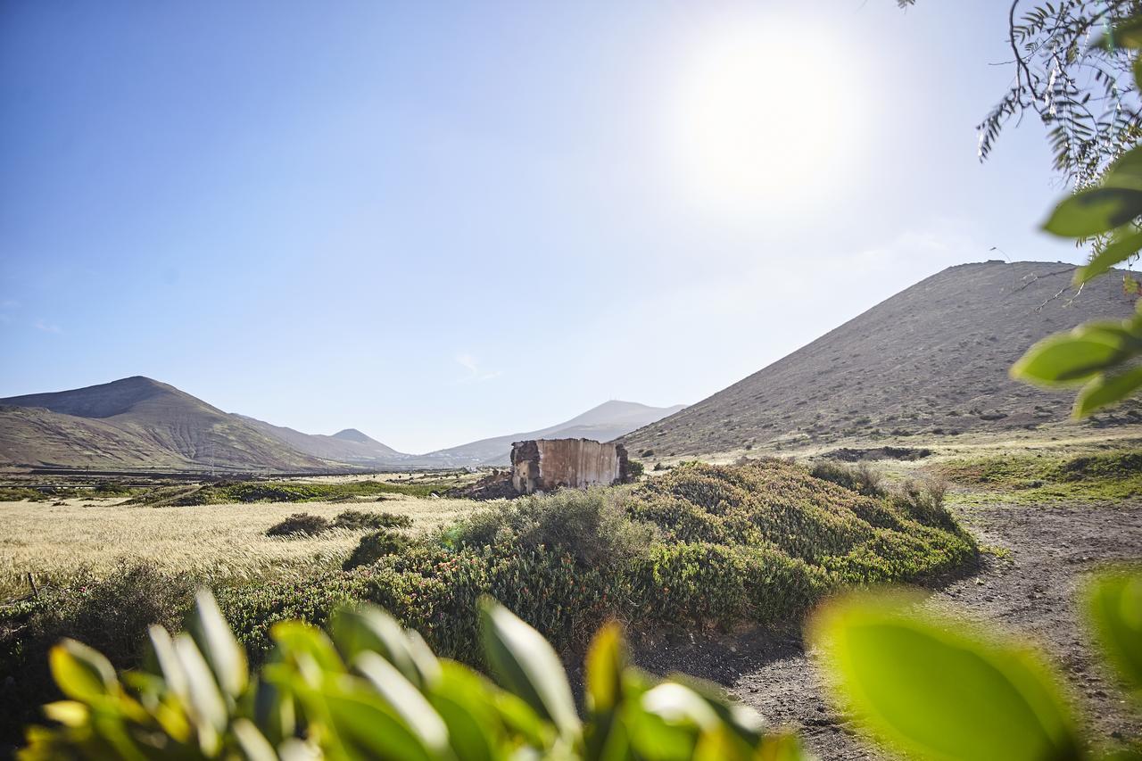 Villa Palmeras Canarias Uga Екстериор снимка
